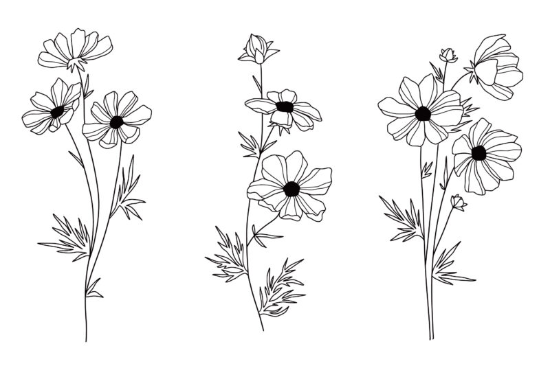 Flower Drawing Made Simple: A Relaxing Guide to Creating Beautiful Blooms by Hand