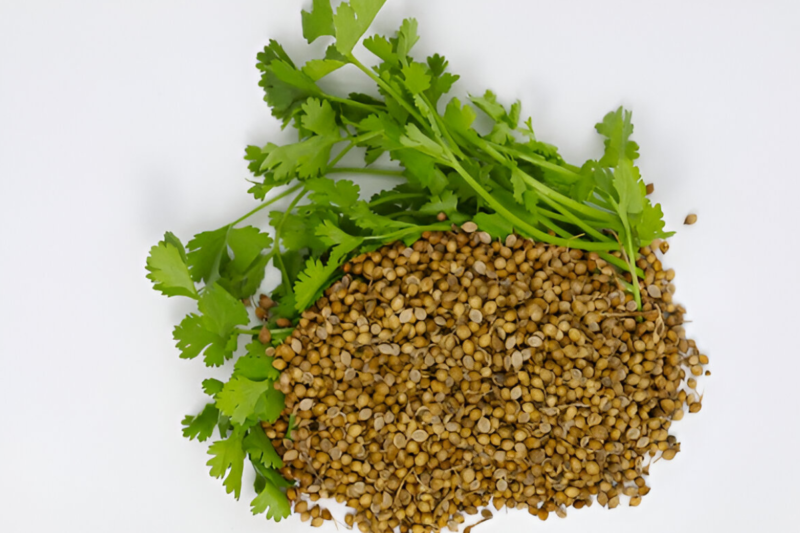 Everything You Need To Know About Koriandri Uses, Benefits, And More